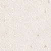 Cream Silk Nehru Jacket with Chikankari